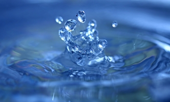 Eaque rerum et explicabo