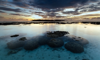 Aliquam nemo rerum quidem ut